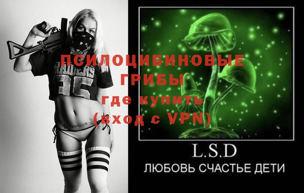 молекула духа Уссурийск