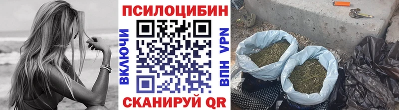 закладки  Данилов  Галлюциногенные грибы прущие грибы 