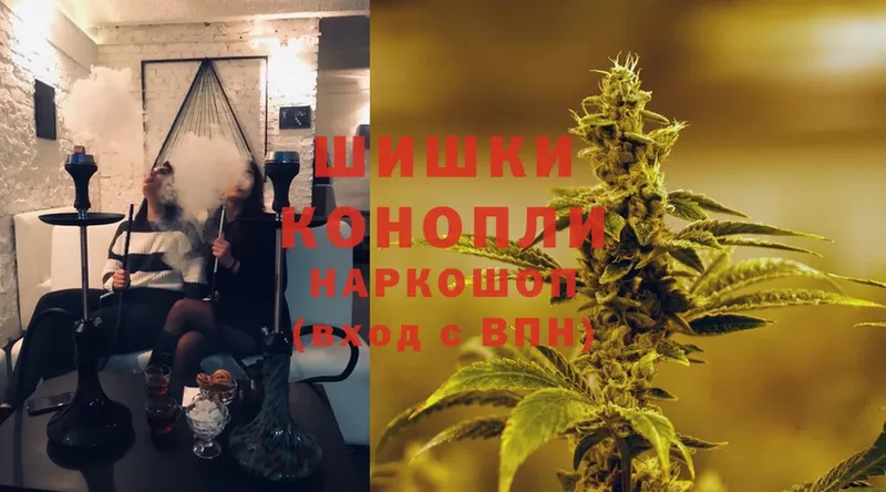 мега вход  Данилов  Бошки Шишки OG Kush  купить наркотик 